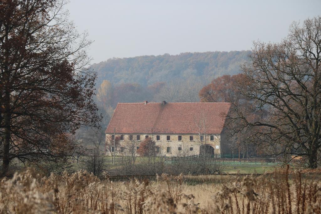 Agroturystyka Dom Pod Sowa Nawojow Luzycki Exterior photo