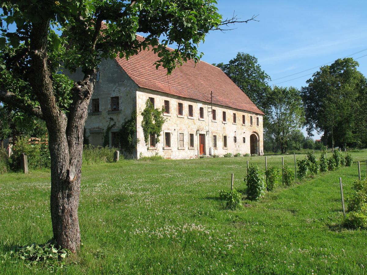 Agroturystyka Dom Pod Sowa Nawojow Luzycki Exterior photo